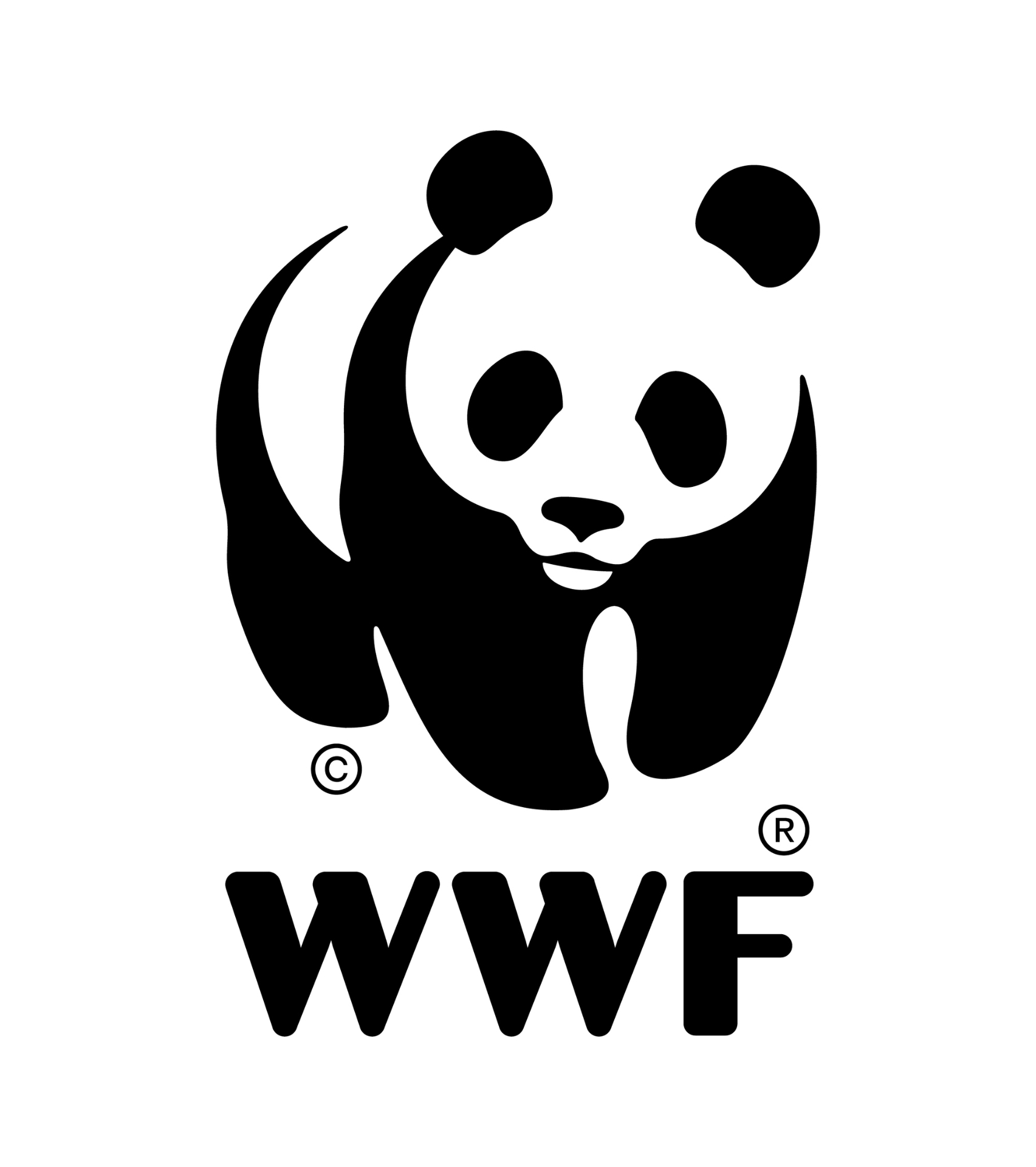 WWF — Lead Convenor of Pause Deep-Sea Mining